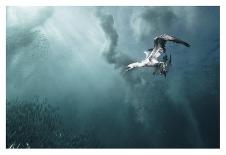 plunge diver-Alexander Safonov-Photographic Print