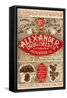 Alexander Seed-Vintage Apple Collection-Framed Stretched Canvas