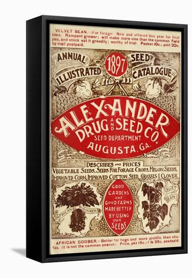 Alexander Seed-Vintage Apple Collection-Framed Stretched Canvas