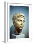 Alexander the Great (356-323 B), C336-C323 Bc-null-Framed Photographic Print