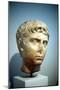 Alexander the Great (356-323 B), C336-C323 Bc-null-Mounted Photographic Print