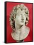 Alexander the Great (356-323 BC) King of Macedonia, Roman Copy of Greek Original-null-Framed Stretched Canvas