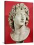 Alexander the Great (356-323 BC) King of Macedonia, Roman Copy of Greek Original-null-Stretched Canvas