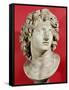 Alexander the Great (356-323 BC) King of Macedonia, Roman Copy of Greek Original-null-Framed Stretched Canvas