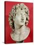 Alexander the Great (356-323 BC) King of Macedonia, Roman Copy of Greek Original-null-Stretched Canvas