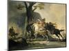 Alexander the Great at the Battle of the Granicus River in 334 BC against the Persians, 1737-Cornelis Troost-Mounted Premium Giclee Print
