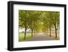 Alexander Valley Trees-Richard Wong-Framed Photographic Print