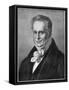 Alexander Von Humboldt, Prussian Naturalist and Explorer-null-Framed Stretched Canvas