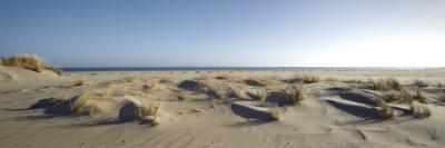 Germany, Schleswig - Holstein, island of Sylt, dunes on the beach of List-Alexander Voss-Stretched Canvas