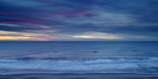 Germany, Schleswig - Holstein, island of Sylt, dunes on the beach of List-Alexander Voss-Stretched Canvas