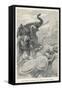 Alexander Vs Elephants-A. Castaigne-Framed Stretched Canvas