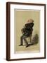 Brown Frame