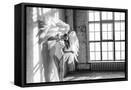 Framed Canvas