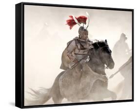 Alexander-null-Framed Stretched Canvas