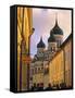 Alexandr Nevsky Cathedral, Tallinn, Estonia-Peter Adams-Framed Stretched Canvas