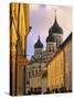 Alexandr Nevsky Cathedral, Tallinn, Estonia-Peter Adams-Stretched Canvas