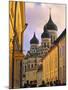 Alexandr Nevsky Cathedral, Tallinn, Estonia-Peter Adams-Mounted Photographic Print