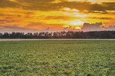 Sunset in the Field-Alexandr Savchuk-Mounted Photographic Print