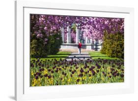 Alexandra Gardens, Cardiff, Wales, United Kingdom-Billy Stock-Framed Photographic Print