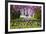 Alexandra Gardens, Cardiff, Wales, United Kingdom-Billy Stock-Framed Photographic Print