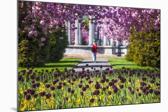 Alexandra Gardens, Cardiff, Wales, United Kingdom-Billy Stock-Mounted Photographic Print