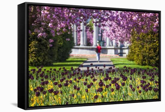 Alexandra Gardens, Cardiff, Wales, United Kingdom-Billy Stock-Framed Stretched Canvas