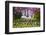 Alexandra Gardens, Cardiff, Wales, United Kingdom-Billy Stock-Framed Photographic Print