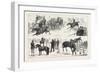 Alexandra Palace Horse Show, 1876, UK-null-Framed Giclee Print