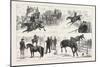 Alexandra Palace Horse Show, 1876, UK-null-Mounted Giclee Print