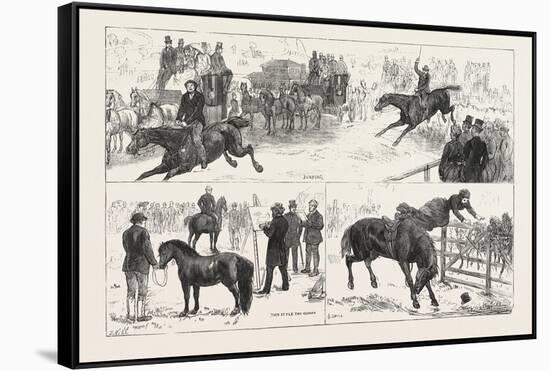 Alexandra Palace Horse Show, 1876, UK-null-Framed Stretched Canvas