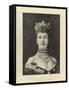 Alexandra, Princess of Wales-null-Framed Stretched Canvas