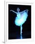 Alexandra Timofeyeva Performs in Tchaikovsky's "Swan Lake" in Moscow's Grand Kremlin Palace, 2012-null-Framed Photographic Print