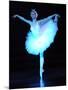 Alexandra Timofeyeva Performs in Tchaikovsky's "Swan Lake" in Moscow's Grand Kremlin Palace, 2012-null-Mounted Photographic Print