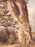 Landscape with Oaks, 1859-Alexandre Calame-Framed Giclee Print