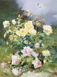 Pink and Yellow Roses-Alexandre Debrus-Stretched Canvas