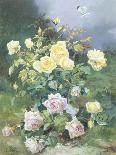 Pink and Yellow Roses-Alexandre Debrus-Stretched Canvas