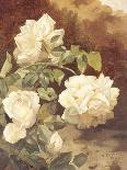 Pink and Yellow Roses-Alexandre Debrus-Stretched Canvas