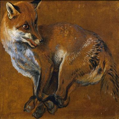 Fox with Legs Tied, by Alexandre-Francois Desportes (1661-1743), France, 18th Century