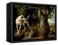 Canvas Black