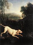 Wolf Hunting, Painting by Alexandre-Francois Desportes (1661-1743), France, 17th Century-Alexandre-Francois Desportes-Giclee Print