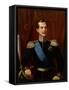 Alexandre II (Empereur De Russie) - Portrait of the Crown Prince Alexander Nikolayevich (1818-1881)-Natale Schiavoni-Framed Stretched Canvas