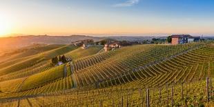 Vineyards at Barbaresco, Piedmont, Italy, Europe-Alexandre Rotenberg-Photographic Print