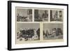 Alexandria as it Is-null-Framed Giclee Print