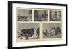 Alexandria as it Is-null-Framed Giclee Print