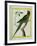 Alexandrine Parakeet-Georges-Louis Buffon-Framed Giclee Print