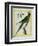 Alexandrine Parakeet-Georges-Louis Buffon-Framed Premium Giclee Print