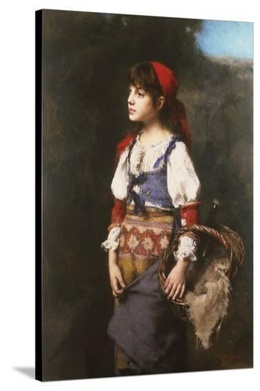 Stretched Canvas Print, , large
