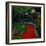 Brown Frame