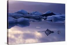 Ice Dream-Alexey Kharitonov-Mounted Giclee Print