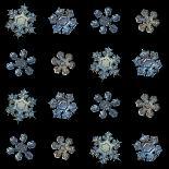 Set with Snowflakes Isolated on Black Background. this is Macro Photos of Real Snow Crystals: Mediu-Alexey Kljatov-Photographic Print